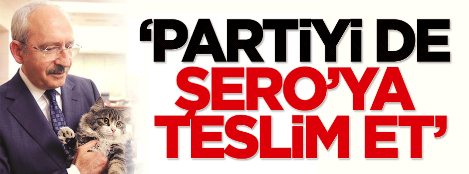 'Partiyi de Şero'ya teslim et'