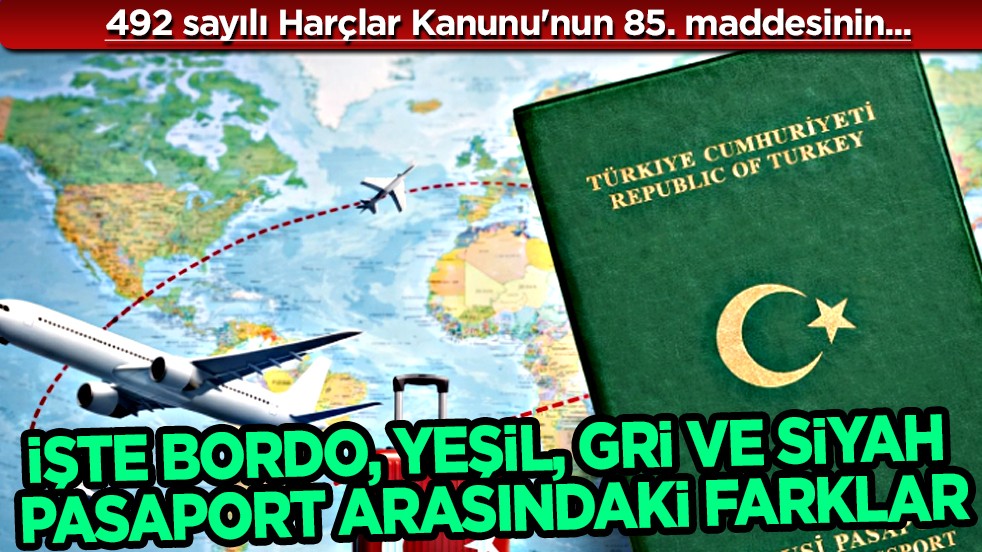 Pasaport Türleri ve Renkleri: İşte Bordo, Yeşil, Gri ve Siyah Pasaport Arasındaki Farklar