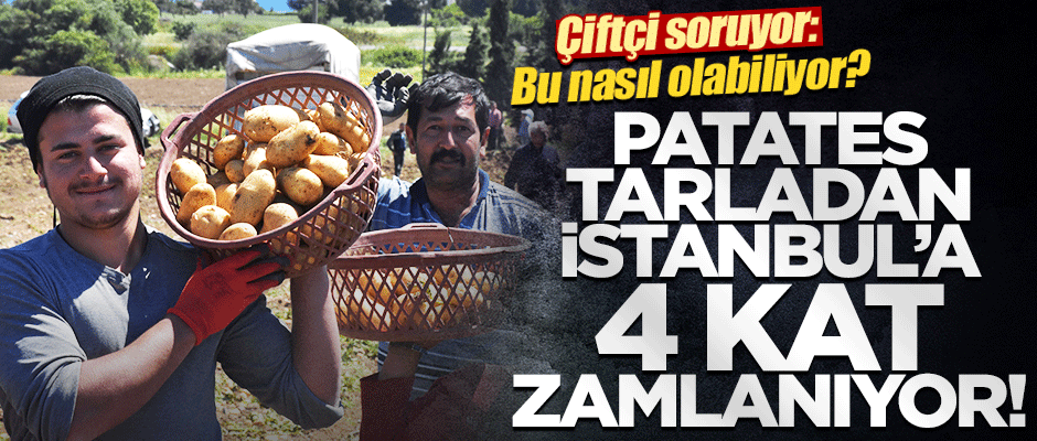 Patates tarladan İstanbul'a gelene kadar fiyatı 4 katına çıkıyor!