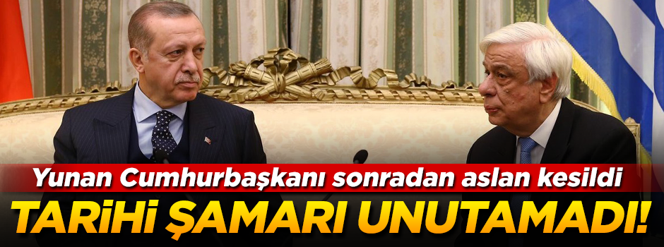 Pavlopulos, Cumhurbaşkanı Erdoğan'dan yediği tarihi şamarı unutamadı