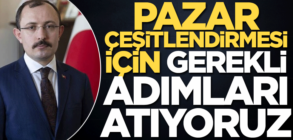 'Pazar çeşitlendirmesi için gerekli adımları atıyoruz'