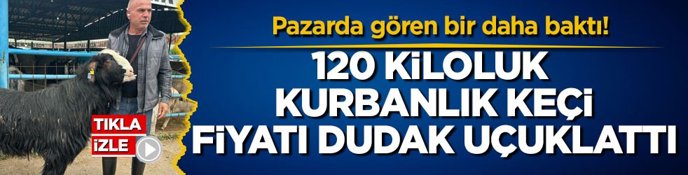 Pazarda gören bir daha baktı! 120 kiloluk kurbanlık keçi fiyatı dudak uçuklattı