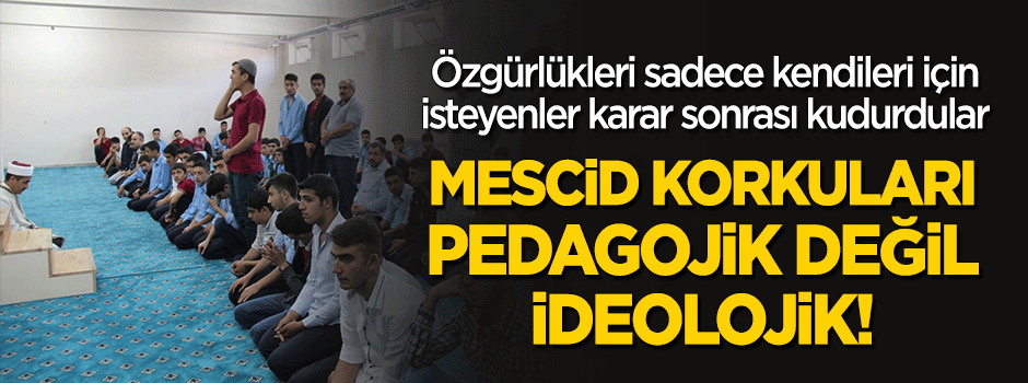 Pedagojik değil ideolojik