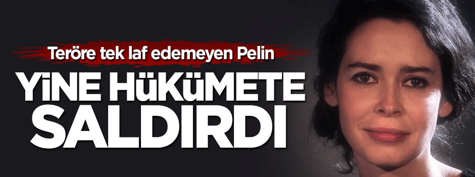 Pelin Batu Ankara saldırısı sonrası yine hükümete saldırdı