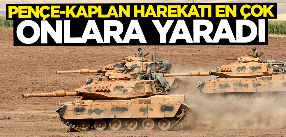 Pençe Kaplan Harekatı en çok komşuya yaradı