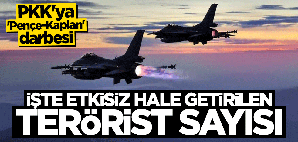 Pençe-Kaplan Operasyonu'nda 50 terörist etkisiz hale getirildi
