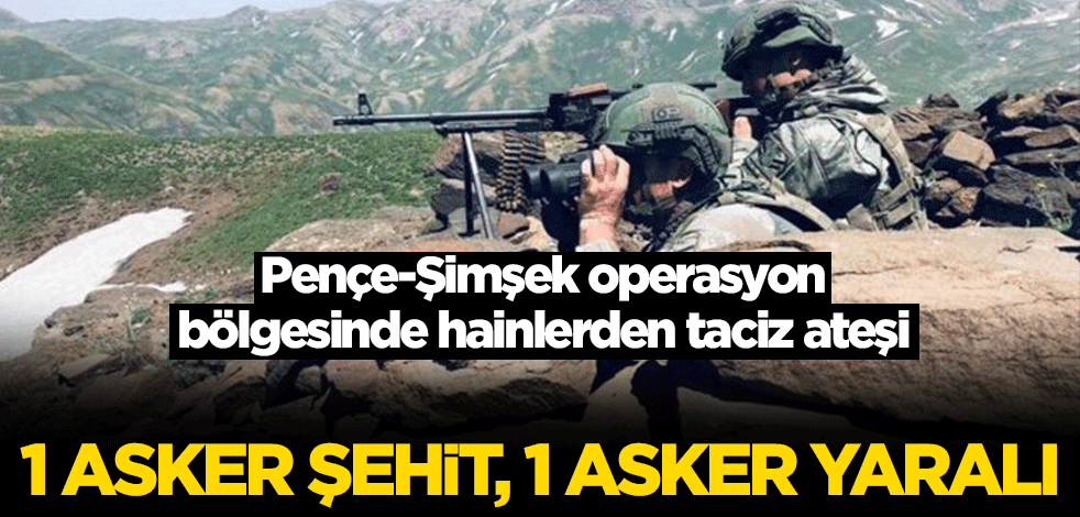 Pençe-Şimşek operasyon bölgesinde hainlerden taciz ateşi! 1 asker şehit, 1 asker yaralı