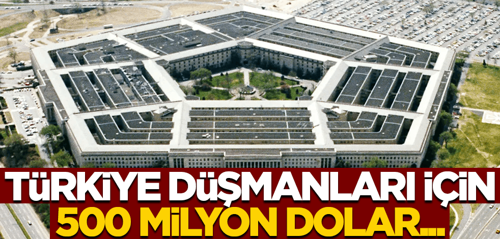 Pentagon 500 milyon dolar istedi! Türkiye düşmanlarına rezil destek