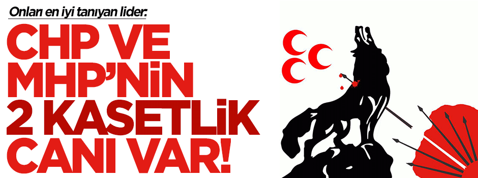 Perinçek: CHP ve MHP’nin 2 kasetlik canı var
