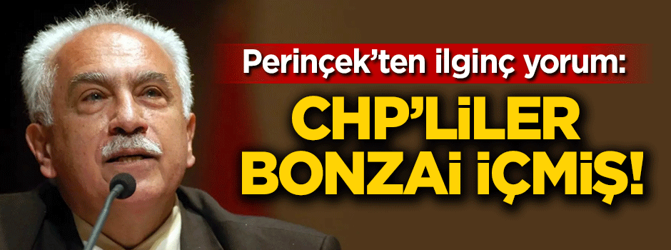 Perinçek: CHP'liler bonzai içmiş
