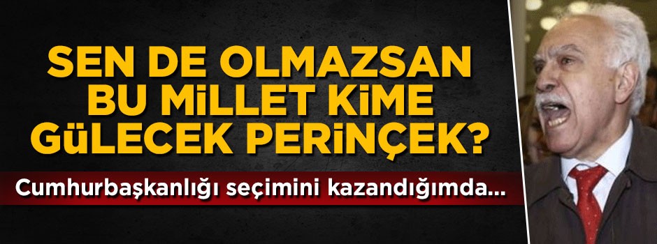 Perinçek: Cumhurbaşkanılığı seçimini kazandığımda...