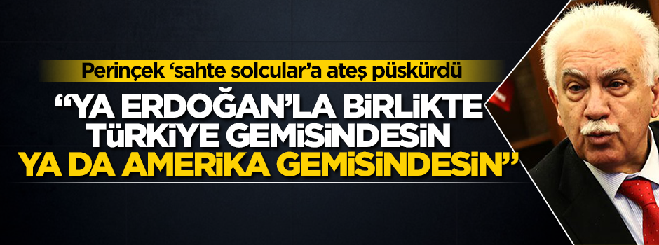 Perinçek: Ya Erdoğan'la birlikte ABD emperyalizmine karşı Türkiye gemisindesin ya da Amerika gemisindesin
