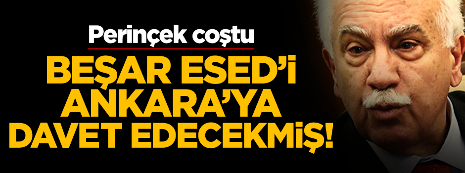 Perinçek: İktidar olduğumuzda Esad'ı Ankara'ya çağıracağım