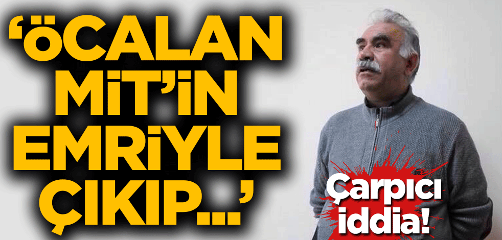 Perinçek'ten çarpıcı iddia: Öcalan MİT’in emriyle çıkıp...