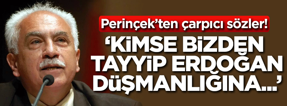 Perinçek'ten çarpıcı yazı: Hiç kimse bizden Tayyip Erdoğan düşmanlığına...