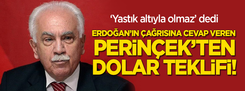 Perinçek'ten 'dolar' teklifi: Yastık altındaki parayla çözemezsiniz