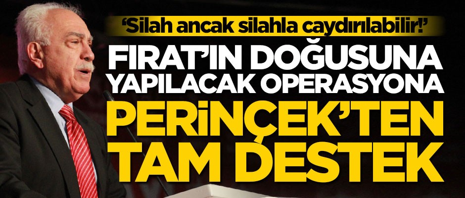 Perinçek'ten Fırat'ın doğusuna yönelik operasyon açıklaması