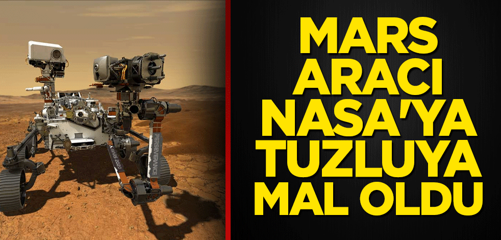Perseverance NASA'ya tuzluya mal oldu