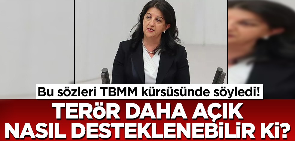 Pervin Buldan TBMM kürsüsünde Pençe-Kılıç Hava Harekatı'nı hedef aldı!