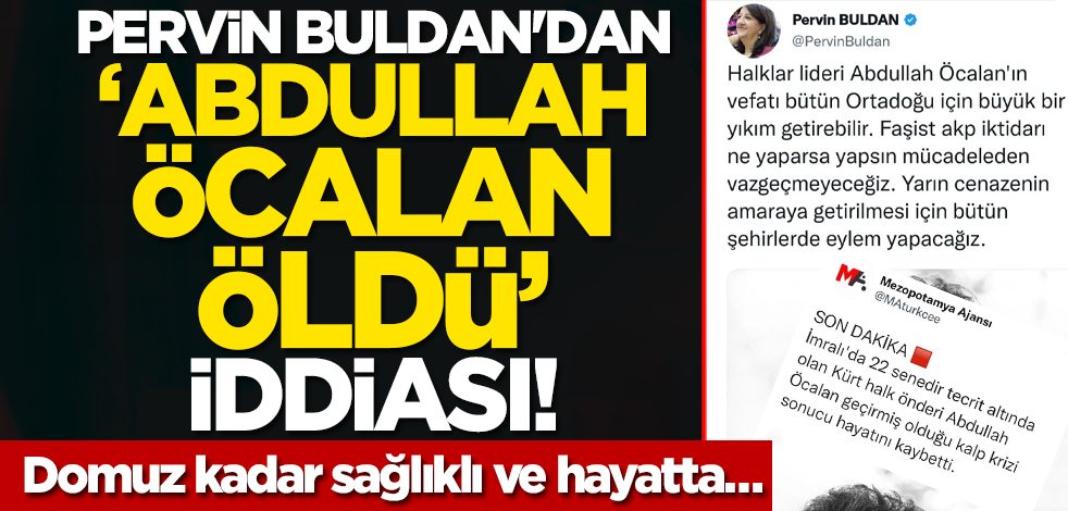 Pervin Buldan'dan ‘Abdullah Öcalan öldü’ iddiası! Bir domuz kadar sağlıklı ve hayatta…