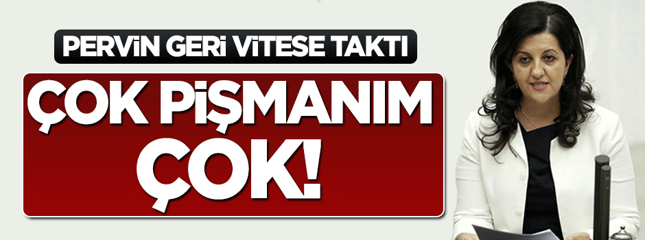 Pervin Buldan'ın Ahmet Hakan pişmanlığı