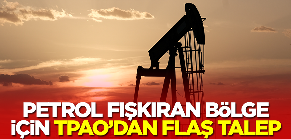 Petrol fışkıran bölge için TPAO'dan flaş talep! Acil olarak bu istendi