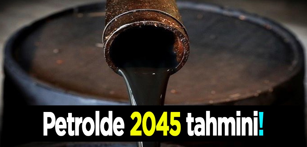 Petrol karteli tarafından paylaşıldı: iyimser 2045 tahmini, şoke eden sözler