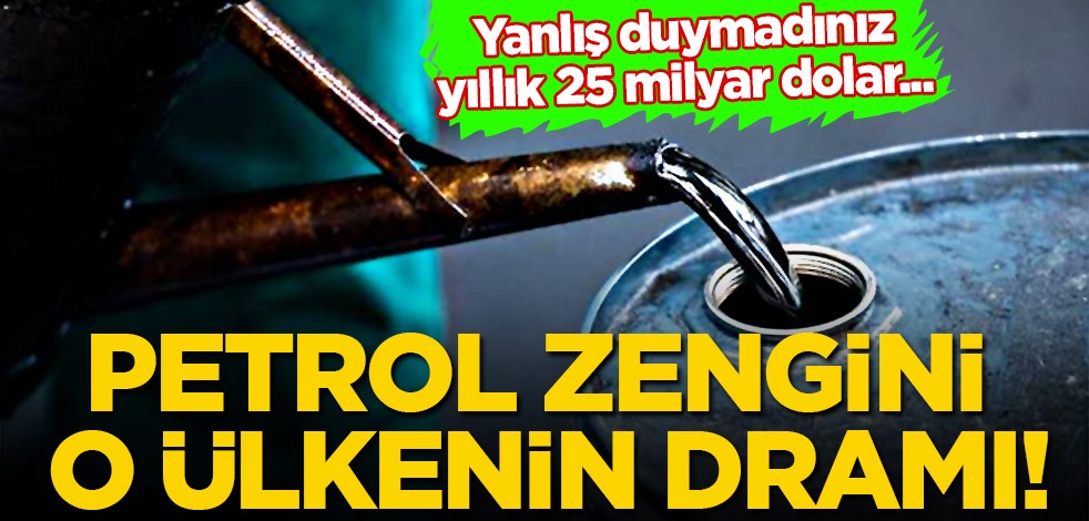 Petrol ve doğalgaz zengini Nijerya'nın petrol ithalatı bu sefer fırlayacak! Şoke eden harcama bakın nasıl!