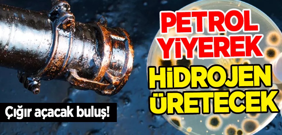Petrol yiyen mikroplar dünyanın en 'ucuz' ve en 'temiz' hidrojenini salgılayacak! Petrol yiyen bakteri çığır açacak