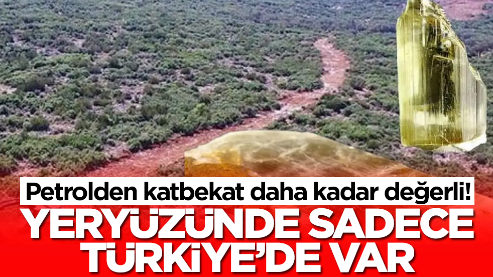 Petrolden katbekat daha kadar değerli: Yeryüzünde sadece Türkiye'de var