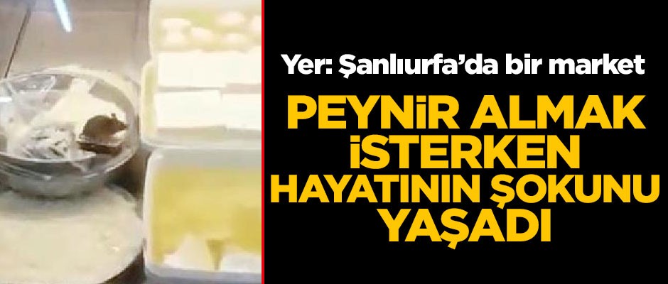 Peynir almak isteyen vatandaş hayatının şokunu yaşadı!