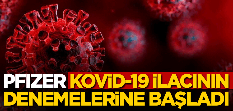 Pfizer, koronavirüs ilacının denemelerine başladı