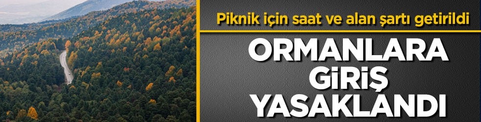 Piknik için saat ve alan şartı getirildi! Ormanlara giriş yasaklandı