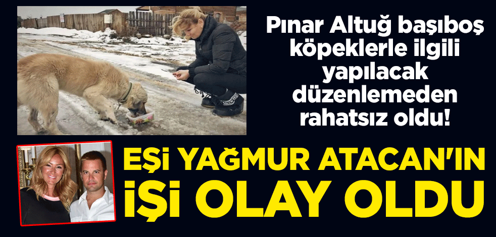Pınar Altuğ başıboş köpeklerle ilgili yapılacak düzenlemeden rahatsız oldu! Eşi Yağmur Atacan'ın işi olay oldu