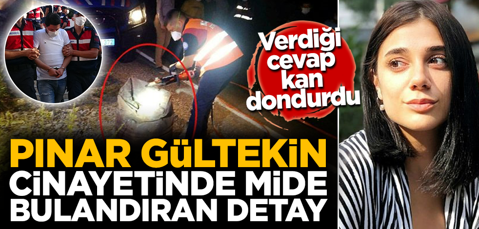 Pınar Gültekin cinayetinde mide bulandıran detay