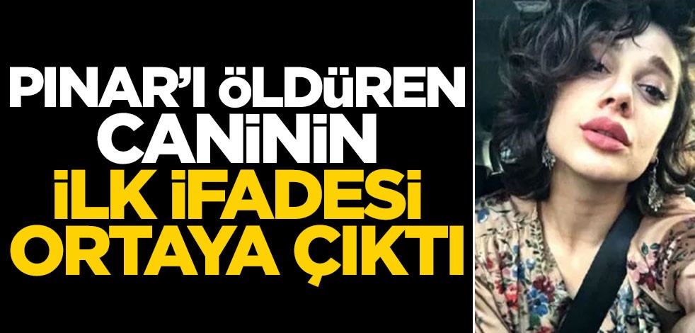 Pınar’ı katleden caninin ilk ifadesi ortaya çıktı