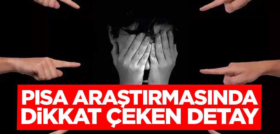 PISA araştırmasında dikkat çeken detay