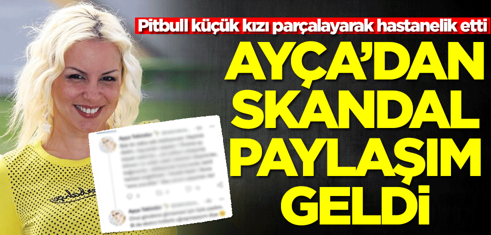 Pitbull küçük kızı parçalayarak hastanelik etti! Ayça'dan skandal paylaşım geldi