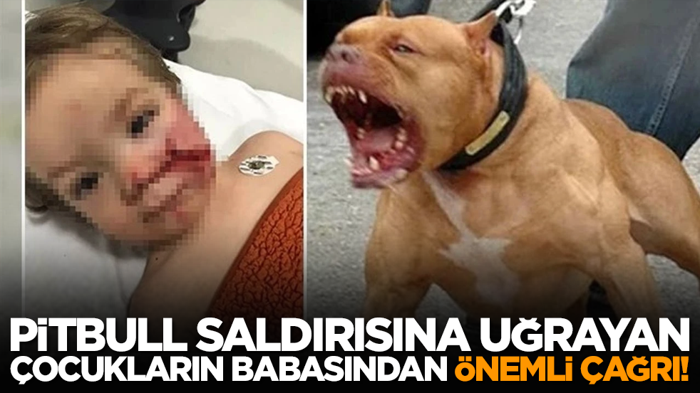 Pitbull saldırısına uğrayan çocukların babasından önemli çağrı!