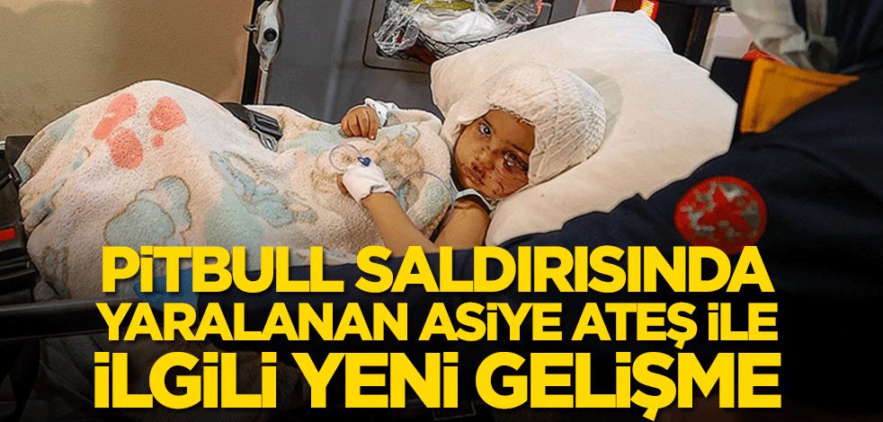Pitbull saldırısında yaralanan Asiye Ateş ile ilgili yeni gelişme