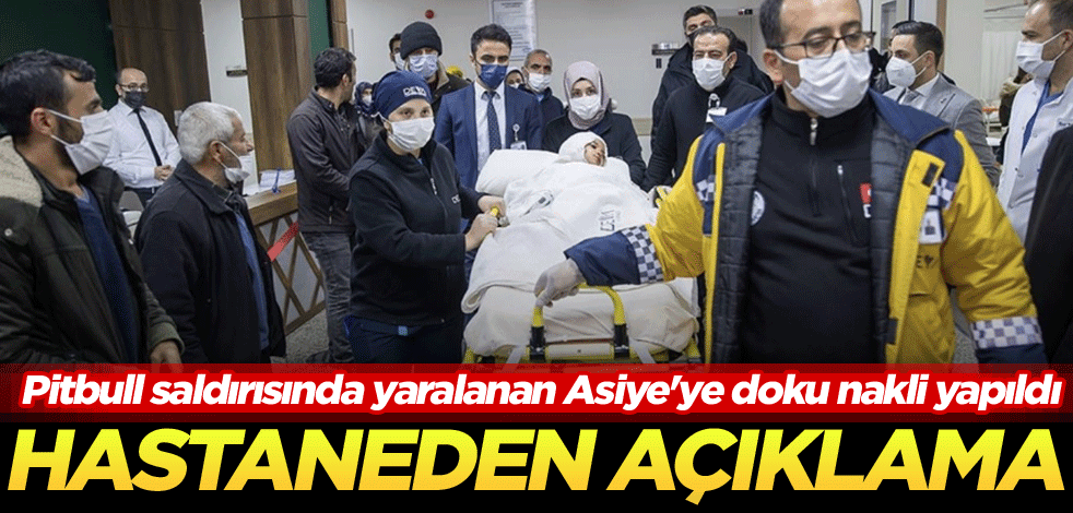 Pitbull saldırısında yaralanan Asiye'ye doku nakli yapıldı! Hastaneden açıklama