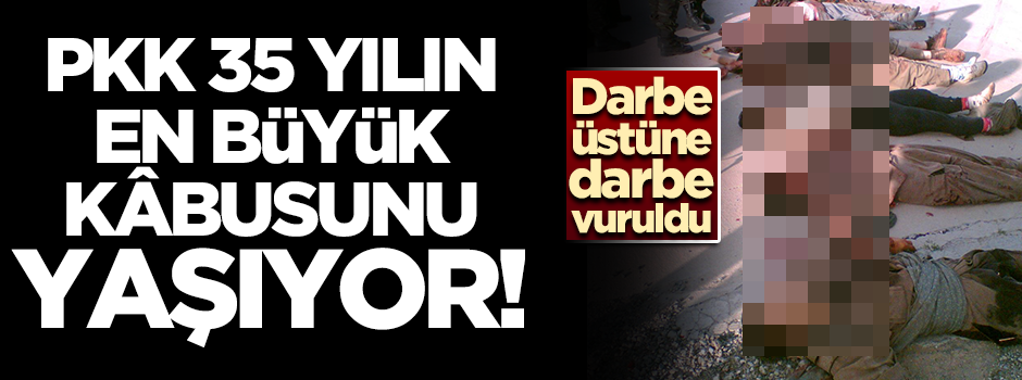 Terör Örgütü PKK 35 yılın en büyük kâbusunu yaşıyor