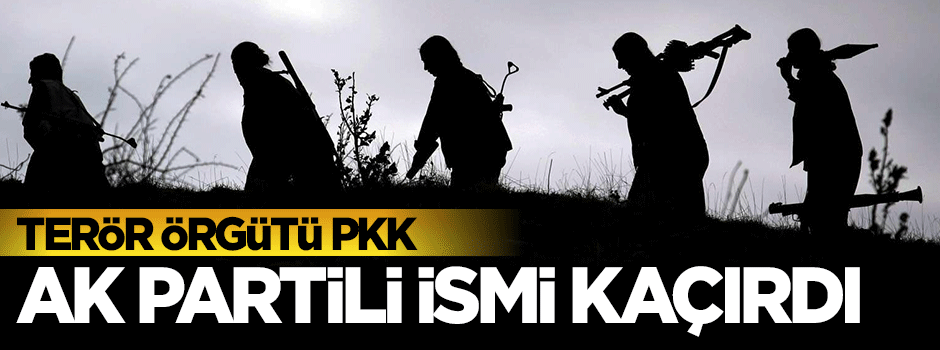 PKK AK Partili Başkanı kaçırdı