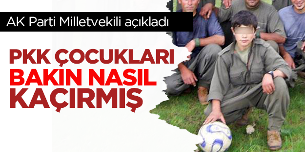 PKK çocukları piknikte kaçırmış