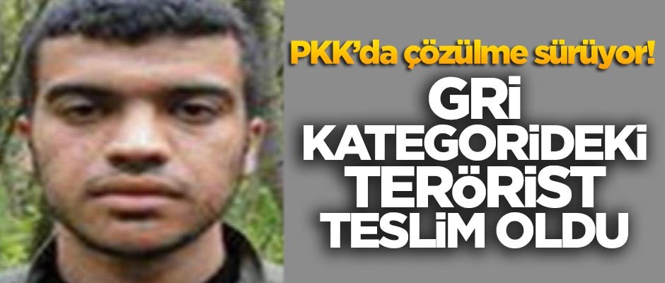 PKK çözülüyor! Gri kategoride yer alan terörist teslim oldu