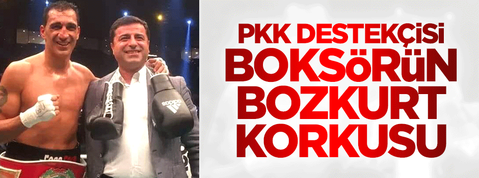 PKK destekçisi boksör: Bozkurtlardan tehdit aldım