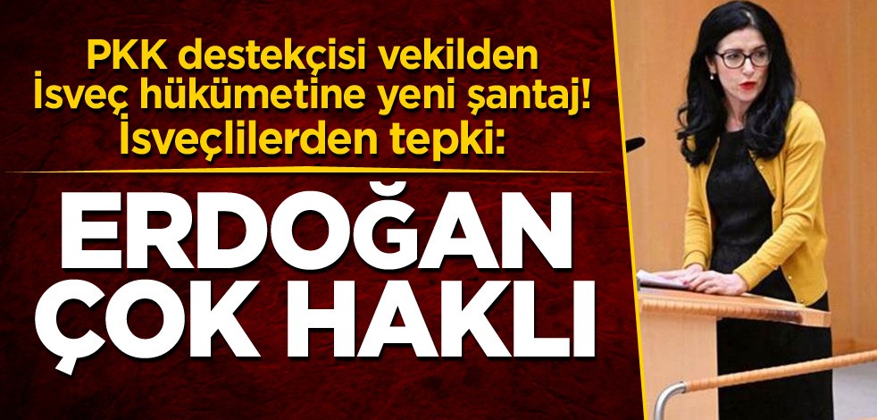 PKK destekçisi vekilden İsveç hükümetine yeni şantaj! İsveçlilerden tepki: Erdoğan çok haklı
