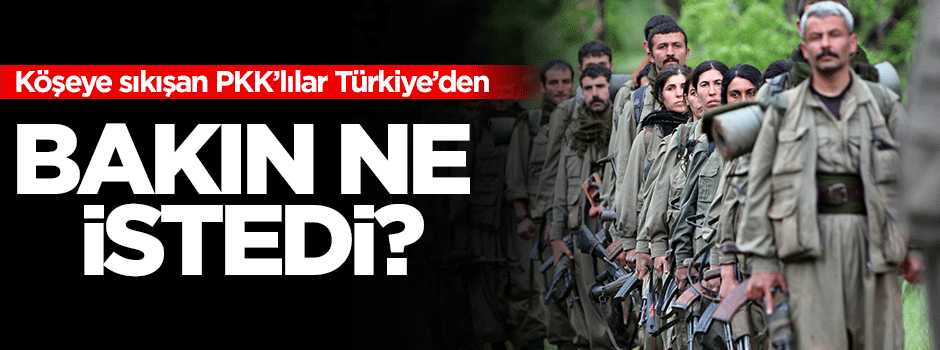 PKK'lılar Türkiye'den bakın ne istedi!