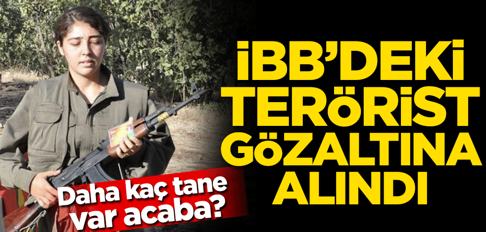 PKK kampındaki fotoğrafları ortaya çıkan İBB çalışanı gözaltına alındı