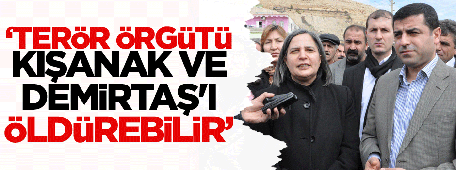 ‘PKK, Kışanak ve Demirtaş'ı öldürebilir’